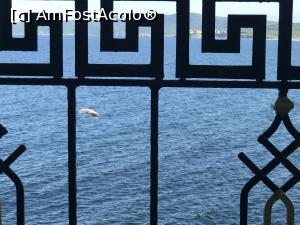 [P27] Marina Royal Palace - din balcon » foto by nicole33
 - 
<span class="allrVoted glyphicon glyphicon-heart hidden" id="av1270427"></span>
<a class="m-l-10 hidden" id="sv1270427" onclick="voting_Foto_DelVot(,1270427,1618)" role="button">șterge vot <span class="glyphicon glyphicon-remove"></span></a>
<a id="v91270427" class=" c-red"  onclick="voting_Foto_SetVot(1270427)" role="button"><span class="glyphicon glyphicon-heart-empty"></span> <b>LIKE</b> = Votează poza</a> <img class="hidden"  id="f1270427W9" src="/imagini/loader.gif" border="0" /><span class="AjErrMes hidden" id="e1270427ErM"></span>