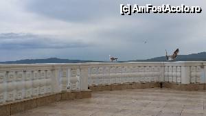 [P38] Marina Royal Palace - doi pescăruși care m-au vizitat » foto by nicole33
 - 
<span class="allrVoted glyphicon glyphicon-heart hidden" id="av508828"></span>
<a class="m-l-10 hidden" id="sv508828" onclick="voting_Foto_DelVot(,508828,1618)" role="button">șterge vot <span class="glyphicon glyphicon-remove"></span></a>
<a id="v9508828" class=" c-red"  onclick="voting_Foto_SetVot(508828)" role="button"><span class="glyphicon glyphicon-heart-empty"></span> <b>LIKE</b> = Votează poza</a> <img class="hidden"  id="f508828W9" src="/imagini/loader.gif" border="0" /><span class="AjErrMes hidden" id="e508828ErM"></span>