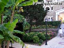[P51] Hotelul Pelican - Intrarea dinspre piscină » foto by victor_m
 - 
<span class="allrVoted glyphicon glyphicon-heart hidden" id="av289393"></span>
<a class="m-l-10 hidden" id="sv289393" onclick="voting_Foto_DelVot(,289393,1618)" role="button">șterge vot <span class="glyphicon glyphicon-remove"></span></a>
<a id="v9289393" class=" c-red"  onclick="voting_Foto_SetVot(289393)" role="button"><span class="glyphicon glyphicon-heart-empty"></span> <b>LIKE</b> = Votează poza</a> <img class="hidden"  id="f289393W9" src="/imagini/loader.gif" border="0" /><span class="AjErrMes hidden" id="e289393ErM"></span>