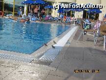 [P16] PISCINA ROYAL PALACE + VRABIUTELE ZONEI CARE SE JUCAU PE MARGINEA BAZINULUI IN APA. » foto by VIO
 - 
<span class="allrVoted glyphicon glyphicon-heart hidden" id="av36125"></span>
<a class="m-l-10 hidden" id="sv36125" onclick="voting_Foto_DelVot(,36125,1618)" role="button">șterge vot <span class="glyphicon glyphicon-remove"></span></a>
<a id="v936125" class=" c-red"  onclick="voting_Foto_SetVot(36125)" role="button"><span class="glyphicon glyphicon-heart-empty"></span> <b>LIKE</b> = Votează poza</a> <img class="hidden"  id="f36125W9" src="/imagini/loader.gif" border="0" /><span class="AjErrMes hidden" id="e36125ErM"></span>