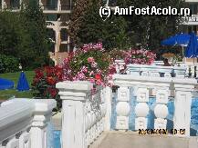 [P24] PISCINA ROYAL PALACE SI FLORILE DIN JUR » foto by VIO
 - 
<span class="allrVoted glyphicon glyphicon-heart hidden" id="av36133"></span>
<a class="m-l-10 hidden" id="sv36133" onclick="voting_Foto_DelVot(,36133,1618)" role="button">șterge vot <span class="glyphicon glyphicon-remove"></span></a>
<a id="v936133" class=" c-red"  onclick="voting_Foto_SetVot(36133)" role="button"><span class="glyphicon glyphicon-heart-empty"></span> <b>LIKE</b> = Votează poza</a> <img class="hidden"  id="f36133W9" src="/imagini/loader.gif" border="0" /><span class="AjErrMes hidden" id="e36133ErM"></span>