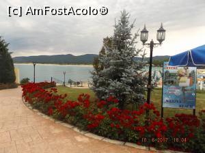 [P32] aleea spre mare » foto by costeldobre
 - 
<span class="allrVoted glyphicon glyphicon-heart hidden" id="av865807"></span>
<a class="m-l-10 hidden" id="sv865807" onclick="voting_Foto_DelVot(,865807,1618)" role="button">șterge vot <span class="glyphicon glyphicon-remove"></span></a>
<a id="v9865807" class=" c-red"  onclick="voting_Foto_SetVot(865807)" role="button"><span class="glyphicon glyphicon-heart-empty"></span> <b>LIKE</b> = Votează poza</a> <img class="hidden"  id="f865807W9" src="/imagini/loader.gif" border="0" /><span class="AjErrMes hidden" id="e865807ErM"></span>