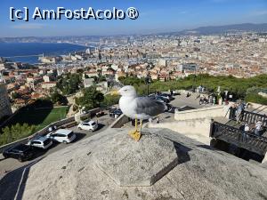 [P07] catedrala Notre Dame de la Garde - MArsilia » foto by Chloe
 - 
<span class="allrVoted glyphicon glyphicon-heart hidden" id="av1396962"></span>
<a class="m-l-10 hidden" id="sv1396962" onclick="voting_Foto_DelVot(,1396962,1628)" role="button">șterge vot <span class="glyphicon glyphicon-remove"></span></a>
<a id="v91396962" class=" c-red"  onclick="voting_Foto_SetVot(1396962)" role="button"><span class="glyphicon glyphicon-heart-empty"></span> <b>LIKE</b> = Votează poza</a> <img class="hidden"  id="f1396962W9" src="/imagini/loader.gif" border="0" /><span class="AjErrMes hidden" id="e1396962ErM"></span>