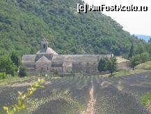 [P09]  -- <small>// FĂRĂ DESCRIERE</small> » foto by buburuzica
 - 
<span class="allrVoted glyphicon glyphicon-heart hidden" id="av5238"></span>
<a class="m-l-10 hidden" id="sv5238" onclick="voting_Foto_DelVot(,5238,1628)" role="button">șterge vot <span class="glyphicon glyphicon-remove"></span></a>
<a id="v95238" class=" c-red"  onclick="voting_Foto_SetVot(5238)" role="button"><span class="glyphicon glyphicon-heart-empty"></span> <b>LIKE</b> = Votează poza</a> <img class="hidden"  id="f5238W9" src="/imagini/loader.gif" border="0" /><span class="AjErrMes hidden" id="e5238ErM"></span>