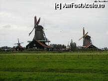 [P21x]  -- <small>// FĂRĂ DESCRIERE</small> » foto by lizuk
 - 
<span class="allrVoted glyphicon glyphicon-heart hidden" id="av24512"></span>
<a class="m-l-10 hidden" id="sv24512" onclick="voting_Foto_DelVot(,24512,1639)" role="button">șterge vot <span class="glyphicon glyphicon-remove"></span></a>
<a id="v924512" class=" c-red"  onclick="voting_Foto_SetVot(24512)" role="button"><span class="glyphicon glyphicon-heart-empty"></span> <b>LIKE</b> = Votează poza</a> <img class="hidden"  id="f24512W9" src="/imagini/loader.gif" border="0" /><span class="AjErrMes hidden" id="e24512ErM"></span>