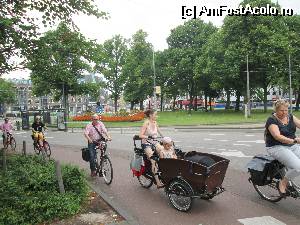 [P05] Amsterdam » foto by krondia*
 - 
<span class="allrVoted glyphicon glyphicon-heart hidden" id="av533225"></span>
<a class="m-l-10 hidden" id="sv533225" onclick="voting_Foto_DelVot(,533225,1639)" role="button">șterge vot <span class="glyphicon glyphicon-remove"></span></a>
<a id="v9533225" class=" c-red"  onclick="voting_Foto_SetVot(533225)" role="button"><span class="glyphicon glyphicon-heart-empty"></span> <b>LIKE</b> = Votează poza</a> <img class="hidden"  id="f533225W9" src="/imagini/loader.gif" border="0" /><span class="AjErrMes hidden" id="e533225ErM"></span>