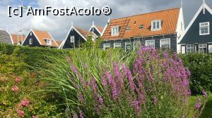 [P33] Marken » foto by 1210andrei
 - 
<span class="allrVoted glyphicon glyphicon-heart hidden" id="av898554"></span>
<a class="m-l-10 hidden" id="sv898554" onclick="voting_Foto_DelVot(,898554,1639)" role="button">șterge vot <span class="glyphicon glyphicon-remove"></span></a>
<a id="v9898554" class=" c-red"  onclick="voting_Foto_SetVot(898554)" role="button"><span class="glyphicon glyphicon-heart-empty"></span> <b>LIKE</b> = Votează poza</a> <img class="hidden"  id="f898554W9" src="/imagini/loader.gif" border="0" /><span class="AjErrMes hidden" id="e898554ErM"></span>