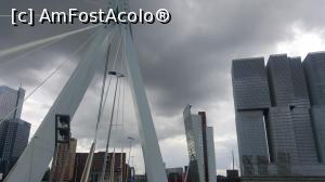 [P39] Podul Erasmus » foto by 1210andrei
 - 
<span class="allrVoted glyphicon glyphicon-heart hidden" id="av898560"></span>
<a class="m-l-10 hidden" id="sv898560" onclick="voting_Foto_DelVot(,898560,1639)" role="button">șterge vot <span class="glyphicon glyphicon-remove"></span></a>
<a id="v9898560" class=" c-red"  onclick="voting_Foto_SetVot(898560)" role="button"><span class="glyphicon glyphicon-heart-empty"></span> <b>LIKE</b> = Votează poza</a> <img class="hidden"  id="f898560W9" src="/imagini/loader.gif" border="0" /><span class="AjErrMes hidden" id="e898560ErM"></span>