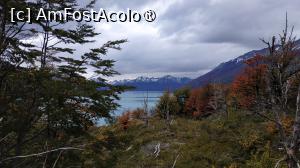 [P19] Perito Moreno » foto by elenaadina
 - 
<span class="allrVoted glyphicon glyphicon-heart hidden" id="av1530959"></span>
<a class="m-l-10 hidden" id="sv1530959" onclick="voting_Foto_DelVot(,1530959,1650)" role="button">șterge vot <span class="glyphicon glyphicon-remove"></span></a>
<a id="v91530959" class=" c-red"  onclick="voting_Foto_SetVot(1530959)" role="button"><span class="glyphicon glyphicon-heart-empty"></span> <b>LIKE</b> = Votează poza</a> <img class="hidden"  id="f1530959W9" src="/imagini/loader.gif" border="0" /><span class="AjErrMes hidden" id="e1530959ErM"></span>