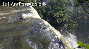 [P37]  -- <small>// FĂRĂ DESCRIERE</small> » foto by elenaadina
 - 
<span class="allrVoted glyphicon glyphicon-heart hidden" id="av1517731"></span>
<a class="m-l-10 hidden" id="sv1517731" onclick="voting_Foto_DelVot(,1517731,1653)" role="button">șterge vot <span class="glyphicon glyphicon-remove"></span></a>
<a id="v91517731" class=" c-red"  onclick="voting_Foto_SetVot(1517731)" role="button"><span class="glyphicon glyphicon-heart-empty"></span> <b>LIKE</b> = Votează poza</a> <img class="hidden"  id="f1517731W9" src="/imagini/loader.gif" border="0" /><span class="AjErrMes hidden" id="e1517731ErM"></span>