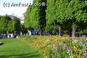 [P16] Zona de parc Champs Elysees » foto by AZE
 - 
<span class="allrVoted glyphicon glyphicon-heart hidden" id="av895287"></span>
<a class="m-l-10 hidden" id="sv895287" onclick="voting_Foto_DelVot(,895287,1684)" role="button">șterge vot <span class="glyphicon glyphicon-remove"></span></a>
<a id="v9895287" class=" c-red"  onclick="voting_Foto_SetVot(895287)" role="button"><span class="glyphicon glyphicon-heart-empty"></span> <b>LIKE</b> = Votează poza</a> <img class="hidden"  id="f895287W9" src="/imagini/loader.gif" border="0" /><span class="AjErrMes hidden" id="e895287ErM"></span>