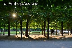 [P10] La umbra copacilor tunși-Tuileries » foto by AZE
 - 
<span class="allrVoted glyphicon glyphicon-heart hidden" id="av896424"></span>
<a class="m-l-10 hidden" id="sv896424" onclick="voting_Foto_DelVot(,896424,1684)" role="button">șterge vot <span class="glyphicon glyphicon-remove"></span></a>
<a id="v9896424" class=" c-red"  onclick="voting_Foto_SetVot(896424)" role="button"><span class="glyphicon glyphicon-heart-empty"></span> <b>LIKE</b> = Votează poza</a> <img class="hidden"  id="f896424W9" src="/imagini/loader.gif" border="0" /><span class="AjErrMes hidden" id="e896424ErM"></span>