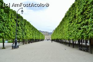 [P22] Alee in parcul regal Paris » foto by AZE
 - 
<span class="allrVoted glyphicon glyphicon-heart hidden" id="av899033"></span>
<a class="m-l-10 hidden" id="sv899033" onclick="voting_Foto_DelVot(,899033,1684)" role="button">șterge vot <span class="glyphicon glyphicon-remove"></span></a>
<a id="v9899033" class=" c-red"  onclick="voting_Foto_SetVot(899033)" role="button"><span class="glyphicon glyphicon-heart-empty"></span> <b>LIKE</b> = Votează poza</a> <img class="hidden"  id="f899033W9" src="/imagini/loader.gif" border="0" /><span class="AjErrMes hidden" id="e899033ErM"></span>