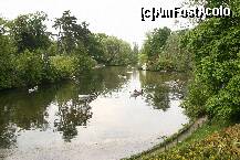 [P10] Lacul din Bois de Boulogne, cu vaslasii de ocazie.. » foto by liviadavidescu
 - 
<span class="allrVoted glyphicon glyphicon-heart hidden" id="av152132"></span>
<a class="m-l-10 hidden" id="sv152132" onclick="voting_Foto_DelVot(,152132,1684)" role="button">șterge vot <span class="glyphicon glyphicon-remove"></span></a>
<a id="v9152132" class=" c-red"  onclick="voting_Foto_SetVot(152132)" role="button"><span class="glyphicon glyphicon-heart-empty"></span> <b>LIKE</b> = Votează poza</a> <img class="hidden"  id="f152132W9" src="/imagini/loader.gif" border="0" /><span class="AjErrMes hidden" id="e152132ErM"></span>
