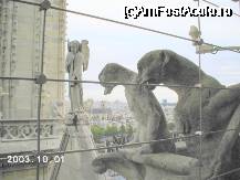 [P21x] Alte statui ce decorează acoperişul catedralei, văzute din spatele grilajului de siguranţă, plasat absolut peste tot pe unde umblă vizitatorii. » foto by Costi
 - 
<span class="allrVoted glyphicon glyphicon-heart hidden" id="av32797"></span>
<a class="m-l-10 hidden" id="sv32797" onclick="voting_Foto_DelVot(,32797,1684)" role="button">șterge vot <span class="glyphicon glyphicon-remove"></span></a>
<a id="v932797" class=" c-red"  onclick="voting_Foto_SetVot(32797)" role="button"><span class="glyphicon glyphicon-heart-empty"></span> <b>LIKE</b> = Votează poza</a> <img class="hidden"  id="f32797W9" src="/imagini/loader.gif" border="0" /><span class="AjErrMes hidden" id="e32797ErM"></span>