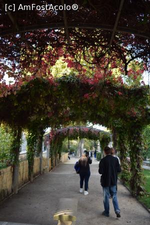 [P16] Montmartre Paris » foto by hopyk
 - 
<span class="allrVoted glyphicon glyphicon-heart hidden" id="av929907"></span>
<a class="m-l-10 hidden" id="sv929907" onclick="voting_Foto_DelVot(,929907,1684)" role="button">șterge vot <span class="glyphicon glyphicon-remove"></span></a>
<a id="v9929907" class=" c-red"  onclick="voting_Foto_SetVot(929907)" role="button"><span class="glyphicon glyphicon-heart-empty"></span> <b>LIKE</b> = Votează poza</a> <img class="hidden"  id="f929907W9" src="/imagini/loader.gif" border="0" /><span class="AjErrMes hidden" id="e929907ErM"></span>