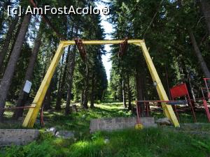[P09] Un teleschi ascuns în pădure. » foto by tata123 🔱
 - 
<span class="allrVoted glyphicon glyphicon-heart hidden" id="av1265839"></span>
<a class="m-l-10 hidden" id="sv1265839" onclick="voting_Foto_DelVot(,1265839,1693)" role="button">șterge vot <span class="glyphicon glyphicon-remove"></span></a>
<a id="v91265839" class=" c-red"  onclick="voting_Foto_SetVot(1265839)" role="button"><span class="glyphicon glyphicon-heart-empty"></span> <b>LIKE</b> = Votează poza</a> <img class="hidden"  id="f1265839W9" src="/imagini/loader.gif" border="0" /><span class="AjErrMes hidden" id="e1265839ErM"></span>