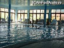[P04] Piscina » foto by rinaldoparaipan
 - 
<span class="allrVoted glyphicon glyphicon-heart hidden" id="av66434"></span>
<a class="m-l-10 hidden" id="sv66434" onclick="voting_Foto_DelVot(,66434,1702)" role="button">șterge vot <span class="glyphicon glyphicon-remove"></span></a>
<a id="v966434" class=" c-red"  onclick="voting_Foto_SetVot(66434)" role="button"><span class="glyphicon glyphicon-heart-empty"></span> <b>LIKE</b> = Votează poza</a> <img class="hidden"  id="f66434W9" src="/imagini/loader.gif" border="0" /><span class="AjErrMes hidden" id="e66434ErM"></span>