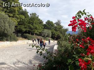 [P21] Spre strada pietonală Dionisiou.  » foto by Aurici
 - 
<span class="allrVoted glyphicon glyphicon-heart hidden" id="av1064270"></span>
<a class="m-l-10 hidden" id="sv1064270" onclick="voting_Foto_DelVot(,1064270,1710)" role="button">șterge vot <span class="glyphicon glyphicon-remove"></span></a>
<a id="v91064270" class=" c-red"  onclick="voting_Foto_SetVot(1064270)" role="button"><span class="glyphicon glyphicon-heart-empty"></span> <b>LIKE</b> = Votează poza</a> <img class="hidden"  id="f1064270W9" src="/imagini/loader.gif" border="0" /><span class="AjErrMes hidden" id="e1064270ErM"></span>
