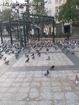 [P01] Piata primariei. » foto by melena
 - 
<span class="allrVoted glyphicon glyphicon-heart hidden" id="av1342809"></span>
<a class="m-l-10 hidden" id="sv1342809" onclick="voting_Foto_DelVot(,1342809,1710)" role="button">șterge vot <span class="glyphicon glyphicon-remove"></span></a>
<a id="v91342809" class=" c-red"  onclick="voting_Foto_SetVot(1342809)" role="button"><span class="glyphicon glyphicon-heart-empty"></span> <b>LIKE</b> = Votează poza</a> <img class="hidden"  id="f1342809W9" src="/imagini/loader.gif" border="0" /><span class="AjErrMes hidden" id="e1342809ErM"></span>