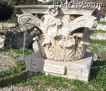 [P25] Atena - Acropole - cap coloana corintica » foto by Liaa*
 - 
<span class="allrVoted glyphicon glyphicon-heart hidden" id="av217722"></span>
<a class="m-l-10 hidden" id="sv217722" onclick="voting_Foto_DelVot(,217722,1710)" role="button">șterge vot <span class="glyphicon glyphicon-remove"></span></a>
<a id="v9217722" class=" c-red"  onclick="voting_Foto_SetVot(217722)" role="button"><span class="glyphicon glyphicon-heart-empty"></span> <b>LIKE</b> = Votează poza</a> <img class="hidden"  id="f217722W9" src="/imagini/loader.gif" border="0" /><span class="AjErrMes hidden" id="e217722ErM"></span>