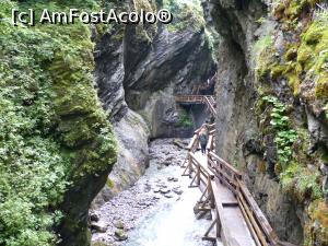 [P12] Sigmund Thun Klamm » foto by iuliaen
 - 
<span class="allrVoted glyphicon glyphicon-heart hidden" id="av885660"></span>
<a class="m-l-10 hidden" id="sv885660" onclick="voting_Foto_DelVot(,885660,1732)" role="button">șterge vot <span class="glyphicon glyphicon-remove"></span></a>
<a id="v9885660" class=" c-red"  onclick="voting_Foto_SetVot(885660)" role="button"><span class="glyphicon glyphicon-heart-empty"></span> <b>LIKE</b> = Votează poza</a> <img class="hidden"  id="f885660W9" src="/imagini/loader.gif" border="0" /><span class="AjErrMes hidden" id="e885660ErM"></span>