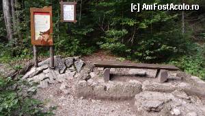 [P18] Seisenberg Klamm - din loc în loc, bănci pentru a putea să ne tragem sufletul și a admira natura. 'Duhul' cheilor le spune copiilor povești din care pot învăța multe lucruri utile despre natură » foto by Dragoș_MD
 - 
<span class="allrVoted glyphicon glyphicon-heart hidden" id="av382041"></span>
<a class="m-l-10 hidden" id="sv382041" onclick="voting_Foto_DelVot(,382041,1732)" role="button">șterge vot <span class="glyphicon glyphicon-remove"></span></a>
<a id="v9382041" class=" c-red"  onclick="voting_Foto_SetVot(382041)" role="button"><span class="glyphicon glyphicon-heart-empty"></span> <b>LIKE</b> = Votează poza</a> <img class="hidden"  id="f382041W9" src="/imagini/loader.gif" border="0" /><span class="AjErrMes hidden" id="e382041ErM"></span>