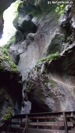 [P25] Seisenberg Klamm - prin chei; cheile întunecate » foto by Dragoș_MD
 - 
<span class="allrVoted glyphicon glyphicon-heart hidden" id="av382048"></span>
<a class="m-l-10 hidden" id="sv382048" onclick="voting_Foto_DelVot(,382048,1732)" role="button">șterge vot <span class="glyphicon glyphicon-remove"></span></a>
<a id="v9382048" class=" c-red"  onclick="voting_Foto_SetVot(382048)" role="button"><span class="glyphicon glyphicon-heart-empty"></span> <b>LIKE</b> = Votează poza</a> <img class="hidden"  id="f382048W9" src="/imagini/loader.gif" border="0" /><span class="AjErrMes hidden" id="e382048ErM"></span>