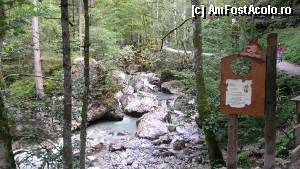[P35] Seisenberg Klamm - la ieșirea din chei; alte povești spuse de 'duh' copiilor » foto by Dragoș_MD
 - 
<span class="allrVoted glyphicon glyphicon-heart hidden" id="av382058"></span>
<a class="m-l-10 hidden" id="sv382058" onclick="voting_Foto_DelVot(,382058,1732)" role="button">șterge vot <span class="glyphicon glyphicon-remove"></span></a>
<a id="v9382058" class=" c-red"  onclick="voting_Foto_SetVot(382058)" role="button"><span class="glyphicon glyphicon-heart-empty"></span> <b>LIKE</b> = Votează poza</a> <img class="hidden"  id="f382058W9" src="/imagini/loader.gif" border="0" /><span class="AjErrMes hidden" id="e382058ErM"></span>