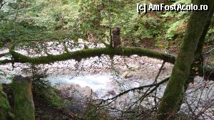 [P36] Seisenberg Klamm - alt 'duh', pesemne...  » foto by Dragoș_MD
 - 
<span class="allrVoted glyphicon glyphicon-heart hidden" id="av382059"></span>
<a class="m-l-10 hidden" id="sv382059" onclick="voting_Foto_DelVot(,382059,1732)" role="button">șterge vot <span class="glyphicon glyphicon-remove"></span></a>
<a id="v9382059" class=" c-red"  onclick="voting_Foto_SetVot(382059)" role="button"><span class="glyphicon glyphicon-heart-empty"></span> <b>LIKE</b> = Votează poza</a> <img class="hidden"  id="f382059W9" src="/imagini/loader.gif" border="0" /><span class="AjErrMes hidden" id="e382059ErM"></span>