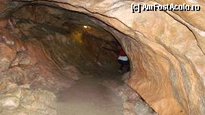 [P47] Lamprechtshöhle - puțin mersul piticului...  » foto by Dragoș_MD
 - 
<span class="allrVoted glyphicon glyphicon-heart hidden" id="av382070"></span>
<a class="m-l-10 hidden" id="sv382070" onclick="voting_Foto_DelVot(,382070,1732)" role="button">șterge vot <span class="glyphicon glyphicon-remove"></span></a>
<a id="v9382070" class=" c-red"  onclick="voting_Foto_SetVot(382070)" role="button"><span class="glyphicon glyphicon-heart-empty"></span> <b>LIKE</b> = Votează poza</a> <img class="hidden"  id="f382070W9" src="/imagini/loader.gif" border="0" /><span class="AjErrMes hidden" id="e382070ErM"></span>