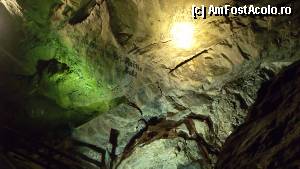 [P50] Lamprechtshöhle - numele... austriecilor pe toate... peșterile. M-au impresionat caligrafia și vechimea 'semnăturilor'.  » foto by Dragoș_MD
 - 
<span class="allrVoted glyphicon glyphicon-heart hidden" id="av382073"></span>
<a class="m-l-10 hidden" id="sv382073" onclick="voting_Foto_DelVot(,382073,1732)" role="button">șterge vot <span class="glyphicon glyphicon-remove"></span></a>
<a id="v9382073" class=" c-red"  onclick="voting_Foto_SetVot(382073)" role="button"><span class="glyphicon glyphicon-heart-empty"></span> <b>LIKE</b> = Votează poza</a> <img class="hidden"  id="f382073W9" src="/imagini/loader.gif" border="0" /><span class="AjErrMes hidden" id="e382073ErM"></span>