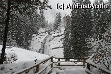 [P8x] tot cascada ,spre varf » foto by mariana
 - 
<span class="allrVoted glyphicon glyphicon-heart hidden" id="av5841"></span>
<a class="m-l-10 hidden" id="sv5841" onclick="voting_Foto_DelVot(,5841,1735)" role="button">șterge vot <span class="glyphicon glyphicon-remove"></span></a>
<a id="v95841" class=" c-red"  onclick="voting_Foto_SetVot(5841)" role="button"><span class="glyphicon glyphicon-heart-empty"></span> <b>LIKE</b> = Votează poza</a> <img class="hidden"  id="f5841W9" src="/imagini/loader.gif" border="0" /><span class="AjErrMes hidden" id="e5841ErM"></span>