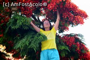 [P06] de pe terasa camerei lor » foto by vivi2002
 - 
<span class="allrVoted glyphicon glyphicon-heart hidden" id="av1230371"></span>
<a class="m-l-10 hidden" id="sv1230371" onclick="voting_Foto_DelVot(,1230371,1745)" role="button">șterge vot <span class="glyphicon glyphicon-remove"></span></a>
<a id="v91230371" class=" c-red"  onclick="voting_Foto_SetVot(1230371)" role="button"><span class="glyphicon glyphicon-heart-empty"></span> <b>LIKE</b> = Votează poza</a> <img class="hidden"  id="f1230371W9" src="/imagini/loader.gif" border="0" /><span class="AjErrMes hidden" id="e1230371ErM"></span>