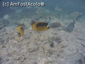 [P20] o zona  pietroasa in mare » foto by elenaadina
 - 
<span class="allrVoted glyphicon glyphicon-heart hidden" id="av1117987"></span>
<a class="m-l-10 hidden" id="sv1117987" onclick="voting_Foto_DelVot(,1117987,1745)" role="button">șterge vot <span class="glyphicon glyphicon-remove"></span></a>
<a id="v91117987" class=" c-red"  onclick="voting_Foto_SetVot(1117987)" role="button"><span class="glyphicon glyphicon-heart-empty"></span> <b>LIKE</b> = Votează poza</a> <img class="hidden"  id="f1117987W9" src="/imagini/loader.gif" border="0" /><span class="AjErrMes hidden" id="e1117987ErM"></span>