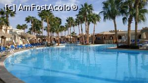 [P31] piscina cu palmieri » foto by elenaadina
 - 
<span class="allrVoted glyphicon glyphicon-heart hidden" id="av1118022"></span>
<a class="m-l-10 hidden" id="sv1118022" onclick="voting_Foto_DelVot(,1118022,1745)" role="button">șterge vot <span class="glyphicon glyphicon-remove"></span></a>
<a id="v91118022" class=" c-red"  onclick="voting_Foto_SetVot(1118022)" role="button"><span class="glyphicon glyphicon-heart-empty"></span> <b>LIKE</b> = Votează poza</a> <img class="hidden"  id="f1118022W9" src="/imagini/loader.gif" border="0" /><span class="AjErrMes hidden" id="e1118022ErM"></span>