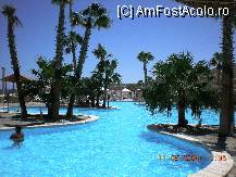 [P17] palm pool » foto by ana&cezar
 - 
<span class="allrVoted glyphicon glyphicon-heart hidden" id="av84031"></span>
<a class="m-l-10 hidden" id="sv84031" onclick="voting_Foto_DelVot(,84031,1745)" role="button">șterge vot <span class="glyphicon glyphicon-remove"></span></a>
<a id="v984031" class=" c-red"  onclick="voting_Foto_SetVot(84031)" role="button"><span class="glyphicon glyphicon-heart-empty"></span> <b>LIKE</b> = Votează poza</a> <img class="hidden"  id="f84031W9" src="/imagini/loader.gif" border="0" /><span class="AjErrMes hidden" id="e84031ErM"></span>