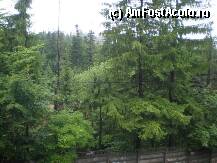 [P12] -iul.2009- vedere de pe balcon » foto by alela
 - 
<span class="allrVoted glyphicon glyphicon-heart hidden" id="av11758"></span>
<a class="m-l-10 hidden" id="sv11758" onclick="voting_Foto_DelVot(,11758,1746)" role="button">șterge vot <span class="glyphicon glyphicon-remove"></span></a>
<a id="v911758" class=" c-red"  onclick="voting_Foto_SetVot(11758)" role="button"><span class="glyphicon glyphicon-heart-empty"></span> <b>LIKE</b> = Votează poza</a> <img class="hidden"  id="f11758W9" src="/imagini/loader.gif" border="0" /><span class="AjErrMes hidden" id="e11758ErM"></span>