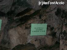 [P22] ....si scaunul lui Zamolxe, in aceeasi pestera » foto by myosothis
 - 
<span class="allrVoted glyphicon glyphicon-heart hidden" id="av149671"></span>
<a class="m-l-10 hidden" id="sv149671" onclick="voting_Foto_DelVot(,149671,1755)" role="button">șterge vot <span class="glyphicon glyphicon-remove"></span></a>
<a id="v9149671" class=" c-red"  onclick="voting_Foto_SetVot(149671)" role="button"><span class="glyphicon glyphicon-heart-empty"></span> <b>LIKE</b> = Votează poza</a> <img class="hidden"  id="f149671W9" src="/imagini/loader.gif" border="0" /><span class="AjErrMes hidden" id="e149671ErM"></span>
