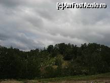 [P21] Mesteceni secerati de greutatea zapezii » foto by ancamariagadea*
 - 
<span class="allrVoted glyphicon glyphicon-heart hidden" id="av81703"></span>
<a class="m-l-10 hidden" id="sv81703" onclick="voting_Foto_DelVot(,81703,1755)" role="button">șterge vot <span class="glyphicon glyphicon-remove"></span></a>
<a id="v981703" class=" c-red"  onclick="voting_Foto_SetVot(81703)" role="button"><span class="glyphicon glyphicon-heart-empty"></span> <b>LIKE</b> = Votează poza</a> <img class="hidden"  id="f81703W9" src="/imagini/loader.gif" border="0" /><span class="AjErrMes hidden" id="e81703ErM"></span>