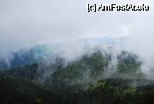 [P14] Peisaj la Rinca. » foto by gregorio
 - 
<span class="allrVoted glyphicon glyphicon-heart hidden" id="av73962"></span>
<a class="m-l-10 hidden" id="sv73962" onclick="voting_Foto_DelVot(,73962,1755)" role="button">șterge vot <span class="glyphicon glyphicon-remove"></span></a>
<a id="v973962" class=" c-red"  onclick="voting_Foto_SetVot(73962)" role="button"><span class="glyphicon glyphicon-heart-empty"></span> <b>LIKE</b> = Votează poza</a> <img class="hidden"  id="f73962W9" src="/imagini/loader.gif" border="0" /><span class="AjErrMes hidden" id="e73962ErM"></span>