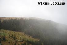 [P04] Ceata la Rinca » foto by gregorio
 - 
<span class="allrVoted glyphicon glyphicon-heart hidden" id="av73952"></span>
<a class="m-l-10 hidden" id="sv73952" onclick="voting_Foto_DelVot(,73952,1755)" role="button">șterge vot <span class="glyphicon glyphicon-remove"></span></a>
<a id="v973952" class=" c-red"  onclick="voting_Foto_SetVot(73952)" role="button"><span class="glyphicon glyphicon-heart-empty"></span> <b>LIKE</b> = Votează poza</a> <img class="hidden"  id="f73952W9" src="/imagini/loader.gif" border="0" /><span class="AjErrMes hidden" id="e73952ErM"></span>