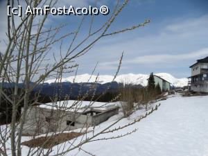 [P29] Ruine mascate de mâțișorii înfloriții » foto by Kavarnap
 - 
<span class="allrVoted glyphicon glyphicon-heart hidden" id="av1222287"></span>
<a class="m-l-10 hidden" id="sv1222287" onclick="voting_Foto_DelVot(,1222287,1755)" role="button">șterge vot <span class="glyphicon glyphicon-remove"></span></a>
<a id="v91222287" class=" c-red"  onclick="voting_Foto_SetVot(1222287)" role="button"><span class="glyphicon glyphicon-heart-empty"></span> <b>LIKE</b> = Votează poza</a> <img class="hidden"  id="f1222287W9" src="/imagini/loader.gif" border="0" /><span class="AjErrMes hidden" id="e1222287ErM"></span>
