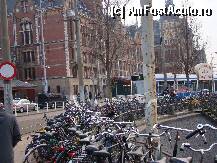 [P01] Foarte multe biciclete-principalul mijloc de transport al lor. » foto by gabilove*
 - 
<span class="allrVoted glyphicon glyphicon-heart hidden" id="av6027"></span>
<a class="m-l-10 hidden" id="sv6027" onclick="voting_Foto_DelVot(,6027,1765)" role="button">șterge vot <span class="glyphicon glyphicon-remove"></span></a>
<a id="v96027" class=" c-red"  onclick="voting_Foto_SetVot(6027)" role="button"><span class="glyphicon glyphicon-heart-empty"></span> <b>LIKE</b> = Votează poza</a> <img class="hidden"  id="f6027W9" src="/imagini/loader.gif" border="0" /><span class="AjErrMes hidden" id="e6027ErM"></span>