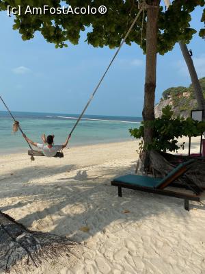 [P07] Koh Phangan Cocohut hotel » foto by ailynuka
 - 
<span class="allrVoted glyphicon glyphicon-heart hidden" id="av1160547"></span>
<a class="m-l-10 hidden" id="sv1160547" onclick="voting_Foto_DelVot(,1160547,1769)" role="button">șterge vot <span class="glyphicon glyphicon-remove"></span></a>
<a id="v91160547" class=" c-red"  onclick="voting_Foto_SetVot(1160547)" role="button"><span class="glyphicon glyphicon-heart-empty"></span> <b>LIKE</b> = Votează poza</a> <img class="hidden"  id="f1160547W9" src="/imagini/loader.gif" border="0" /><span class="AjErrMes hidden" id="e1160547ErM"></span>