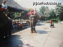 [P03] se pputeau efectua plimbari pe elefant » foto by Cristian_h
 - 
<span class="allrVoted glyphicon glyphicon-heart hidden" id="av25696"></span>
<a class="m-l-10 hidden" id="sv25696" onclick="voting_Foto_DelVot(,25696,1769)" role="button">șterge vot <span class="glyphicon glyphicon-remove"></span></a>
<a id="v925696" class=" c-red"  onclick="voting_Foto_SetVot(25696)" role="button"><span class="glyphicon glyphicon-heart-empty"></span> <b>LIKE</b> = Votează poza</a> <img class="hidden"  id="f25696W9" src="/imagini/loader.gif" border="0" /><span class="AjErrMes hidden" id="e25696ErM"></span>