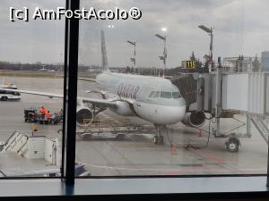 [P02] Avionul ce avea să ne poarte în zbor până la Doha » foto by crismis
 - 
<span class="allrVoted glyphicon glyphicon-heart hidden" id="av1357598"></span>
<a class="m-l-10 hidden" id="sv1357598" onclick="voting_Foto_DelVot(,1357598,1769)" role="button">șterge vot <span class="glyphicon glyphicon-remove"></span></a>
<a id="v91357598" class=" c-red"  onclick="voting_Foto_SetVot(1357598)" role="button"><span class="glyphicon glyphicon-heart-empty"></span> <b>LIKE</b> = Votează poza</a> <img class="hidden"  id="f1357598W9" src="/imagini/loader.gif" border="0" /><span class="AjErrMes hidden" id="e1357598ErM"></span>