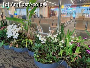 [P67] Aeroportul din Phuket » foto by crismis
 - 
<span class="allrVoted glyphicon glyphicon-heart hidden" id="av1357663"></span>
<a class="m-l-10 hidden" id="sv1357663" onclick="voting_Foto_DelVot(,1357663,1769)" role="button">șterge vot <span class="glyphicon glyphicon-remove"></span></a>
<a id="v91357663" class=" c-red"  onclick="voting_Foto_SetVot(1357663)" role="button"><span class="glyphicon glyphicon-heart-empty"></span> <b>LIKE</b> = Votează poza</a> <img class="hidden"  id="f1357663W9" src="/imagini/loader.gif" border="0" /><span class="AjErrMes hidden" id="e1357663ErM"></span>