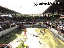 [P06] show-ul de crocodili » foto by djmully
 - 
<span class="allrVoted glyphicon glyphicon-heart hidden" id="av60049"></span>
<a class="m-l-10 hidden" id="sv60049" onclick="voting_Foto_DelVot(,60049,1769)" role="button">șterge vot <span class="glyphicon glyphicon-remove"></span></a>
<a id="v960049" class=" c-red"  onclick="voting_Foto_SetVot(60049)" role="button"><span class="glyphicon glyphicon-heart-empty"></span> <b>LIKE</b> = Votează poza</a> <img class="hidden"  id="f60049W9" src="/imagini/loader.gif" border="0" /><span class="AjErrMes hidden" id="e60049ErM"></span>