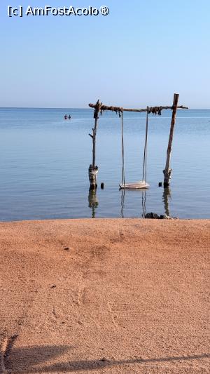 [P06]  -- <small>// FĂRĂ DESCRIERE</small> » foto by IuliaE
 - 
<span class="allrVoted glyphicon glyphicon-heart hidden" id="av1504700"></span>
<a class="m-l-10 hidden" id="sv1504700" onclick="voting_Foto_DelVot(,1504700,1773)" role="button">șterge vot <span class="glyphicon glyphicon-remove"></span></a>
<a id="v91504700" class=" c-red"  onclick="voting_Foto_SetVot(1504700)" role="button"><span class="glyphicon glyphicon-heart-empty"></span> <b>LIKE</b> = Votează poza</a> <img class="hidden"  id="f1504700W9" src="/imagini/loader.gif" border="0" /><span class="AjErrMes hidden" id="e1504700ErM"></span>